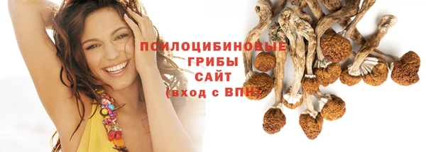 ГАЛЛЮЦИНОГЕННЫЕ ГРИБЫ Армянск